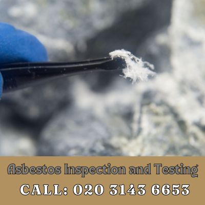 Comprehensive Asbestos Inspection and Testing Services in Monument